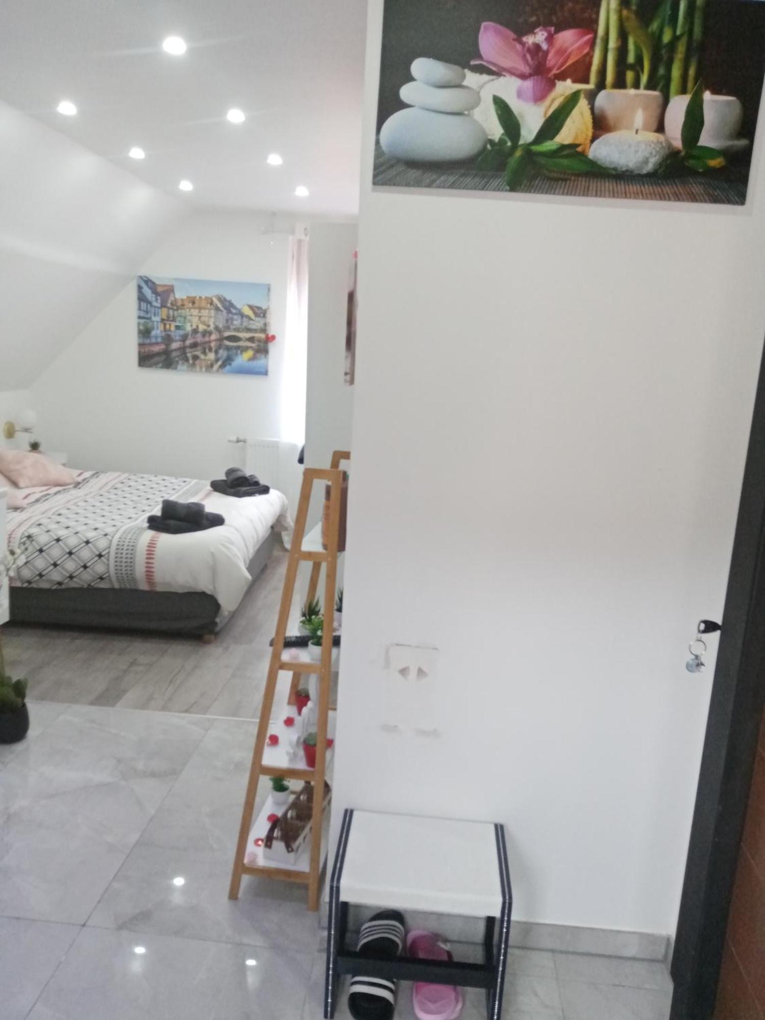Studio Jacuzzi Au Centre Colmar Zimmer foto